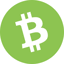 Bitcoin Cash Network